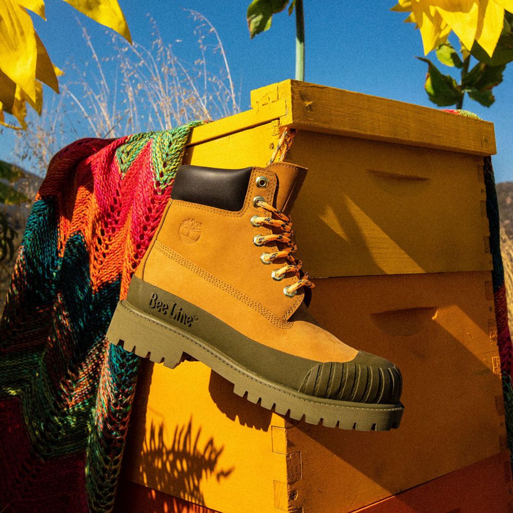 Bototos Timberland Hombre 6-Inch Bee Line X Waterproof Rubber Toe Marrones - Chile KZN-297643